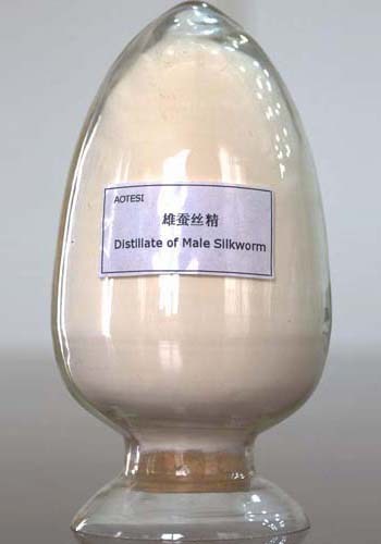 Male Silkworm Protein